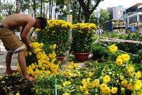 Người bán đập nát hoa ế