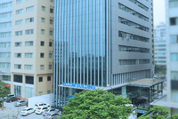 Elcom (ELC): Doanh thu thuần quý IV/2019 lập kỷ lục, đạt 610 tỷ đồng