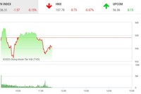 Phiên sáng 13/2: Dòng tiền hướng đến nhóm cổ phiếu nhỏ, VN-Index điều chỉnh