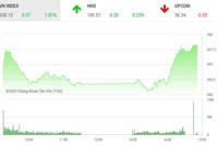 Phiêu chiều 20/2: VIC bùng nổ, VN-Index tăng hơn 9 điểm trong phiên đáo hạn phái sinh