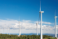 GAB của ông Trịnh Văn Quyết muốn đầu tư dự án điện năng tái tạo 5.000 tỷ đồng tại Bạc Liêu