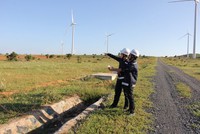 FECON kỳ vọng sẽ mang về khoảng 1.000 tỷ đồng doanh số từ các dự án điện gió trong năm 2020.