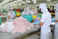 Hùng Vương (HVG) trắng thanh khoản trong ngày nhận quyết định tạm ngừng giao dịch