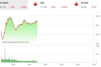 Giao dịch chứng khoán sáng 14/5: TTF tiếp tục nổi sóng, VN-Index giảm nhẹ