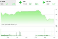 Giao dịch chứng khoán chiều 19/5: VN-Index hạ nhiệt, thanh khoản tăng vọt