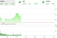 Giao dịch chứng khoán sáng 28/5: Gãy cánh