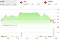 Giao dịch chứng khoán chiều 5/11: VN-Index lại mất điểm ở những phút cuối
