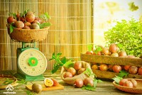 Nafoods (NAF): Lợi nhuận quý I/2024 tăng trưởng nhờ giá vốn giảm