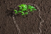 Sự kiện chứng khoán đáng chú ý ngày 15/12