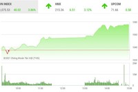 Giao dịch chứng khoán phiên chiều 2/2: Mua vào chờ con sóng mới