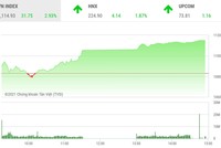 Giao dịch chứng khoán phiên chiều 9/2: Tưng bừng đón Tết