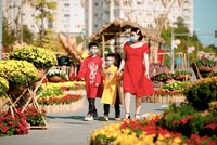 Đường hoa Home Hanoi Xuân: Điểm đến an toàn Tết Tân Sửu