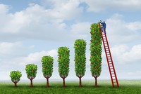 Góc nhìn kỹ thuật phiên giao dịch chứng khoán ngày 4/1: Kiểm tra lại mốc 1.030 điểm 