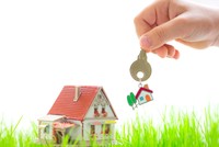 Ảnh minh họa: Shutter