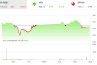 Giao dịch chứng khoán phiên chiều 11/11: Các mã vừa và nhỏ vẫn đang mang lại niềm vui cho nhà đầu tư