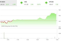 Giao dịch chứng khoán phiên chiều 20/1: Hơn 150 mã tăng kịch trần, thị trường có phiên hồi phục mạnh