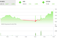 Giao dịch chứng khoán phiên chiều 29/11: Sắc tím lại nở rộ, VN-Index tiếp tục tăng mạnh
