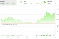 Giao dịch chứng khoán phiên chiều 5/1: Thanh khoản suy giảm, nhưng VN-Index vẫn bật lên trên 1.050 điểm