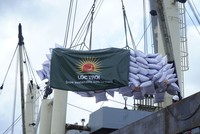 Lộc Trời xuất khẩu gần 100.000 tấn gạo trong quý 1 và nửa đầu quý 2 năm 2024.