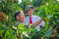 Trên nhiều địa bàn khó khăn, nhân viên ngân hàng vẫn phải trực tiếp “ba cùng” với người vay vốn.