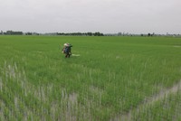 Lâu nay, lĩnh vực bất động sản nông nghiệp chưa được khai phá hết tiềm năng.