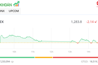 Nhà đầu tư đứng ngoài, thị trường giảm nhẹ trong phiên chiều 11/7