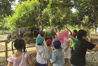 Mô hình farm-school đã nhen nhóm xuất hiện từ hơn chục năm trước.