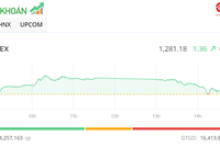 Nhiều cổ phiếu bị chốt lời, thị trường hạ nhiệt trong phiên chiều 16/7