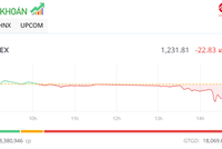 Lực bán tăng mạnh, VN-Index giảm hơn 20 điểm trong phiên chiều 23/7