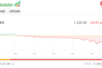 Lực cung gia tăng mạnh, VN-Index giảm 25 điểm trong phiên chiều 1/8