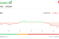 Nhiều mã bị bán tháo, VN-Index quay đầu giảm trong phiên chiều ngày 8/8