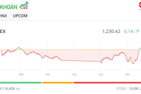 Giao dịch chứng khoán phiên chiều 13/8: Cổ phiếu VCB giúp VN-Index thoát hiểm