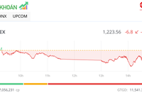Giao dịch chứng khoán phiên chiều 15/8: Nhà đầu tư đứng ngoài, thị trường giảm gần 7 điểm
