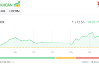 Tiền chảy vào nhóm bất động sản, VN-Index tăng gần 11 điểm trong phiên 20/8