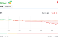 Sắc đỏ lấn át, VN-Index giảm hơn 12 điểm