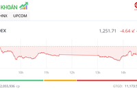 Một số mã nhỏ biến động mạnh, VN-Index giữ được mốc 1.250 điểm ở cuối phiên
