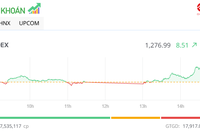 Thị trường hồi phục tích cực, VIB xuất hiện giao dịch thỏa thuận “khủng”