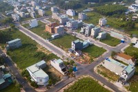 Đất phân lô, bán nền. Ảnh: Lê Toàn.