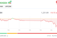 Lực bán gia tăng, thị trường giảm mạnh trong phiên chiều 14/11