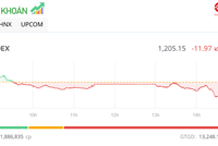 Cổ phiếu VHM không thể cứu thị trường, VN-Index mất thêm gần 12 điểm