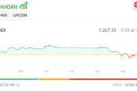 Dòng tiền yếu, VN-Index tiếp tục giảm nhẹ trong phiên ngày 12/12
