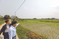 Rao bán đất nền tại Hoà Lạc. Ảnh: Dũng Minh.