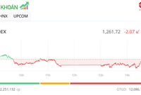 Dòng tiền thận trọng, thị trường giao dịch ảm đạm trong phiên 17/12