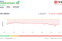 Chịu ảnh hưởng từ bên ngoài, VN-Index giảm hơn 11 điểm