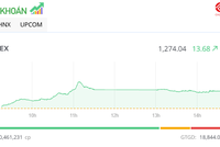 Các bluechip hoạt động tích cực, VN-Index tăng hơn 13 điểm