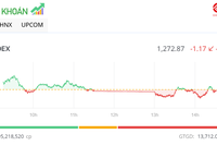 Con sóng YEG kết thúc, thị trường giảm nhẹ trong phiên chiều 26/12