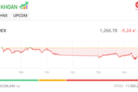 VN-Index tăng hơn 12% trong năm 2024