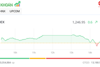 Cổ phiếu NAB có phiên kỷ lục, thị trường hồi phục nhẹ trong phiên chiều 7/1