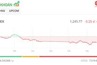 Thanh khoản sụt giảm mạnh, VN-Index quay đầu giảm