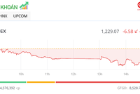 Nhà đầu tư đứng ngoài thị trường, giao dịch ảm đạm trong phiên 14/1